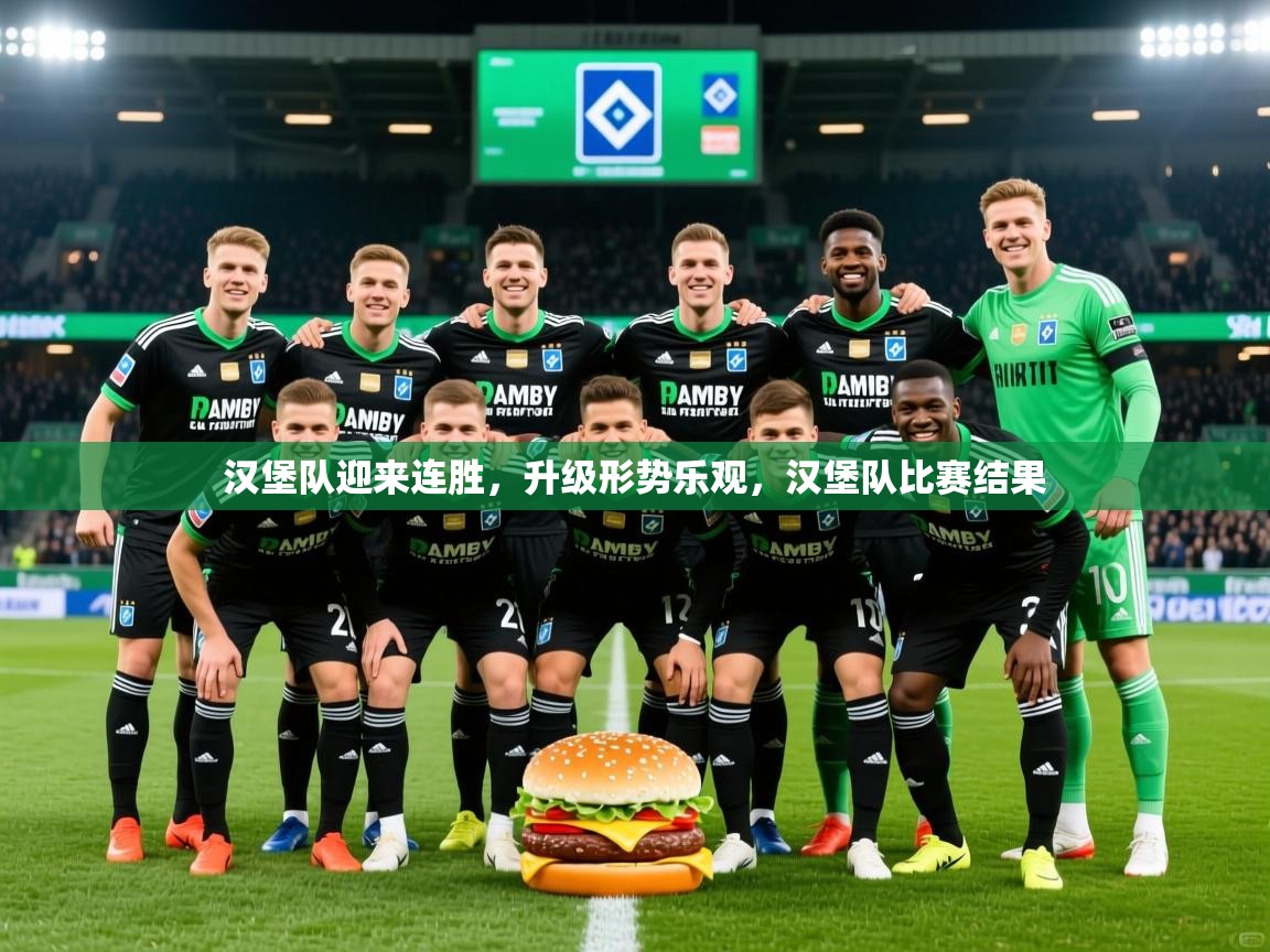 汉堡队迎来连胜，升级形势乐观，汉堡队比赛结果
