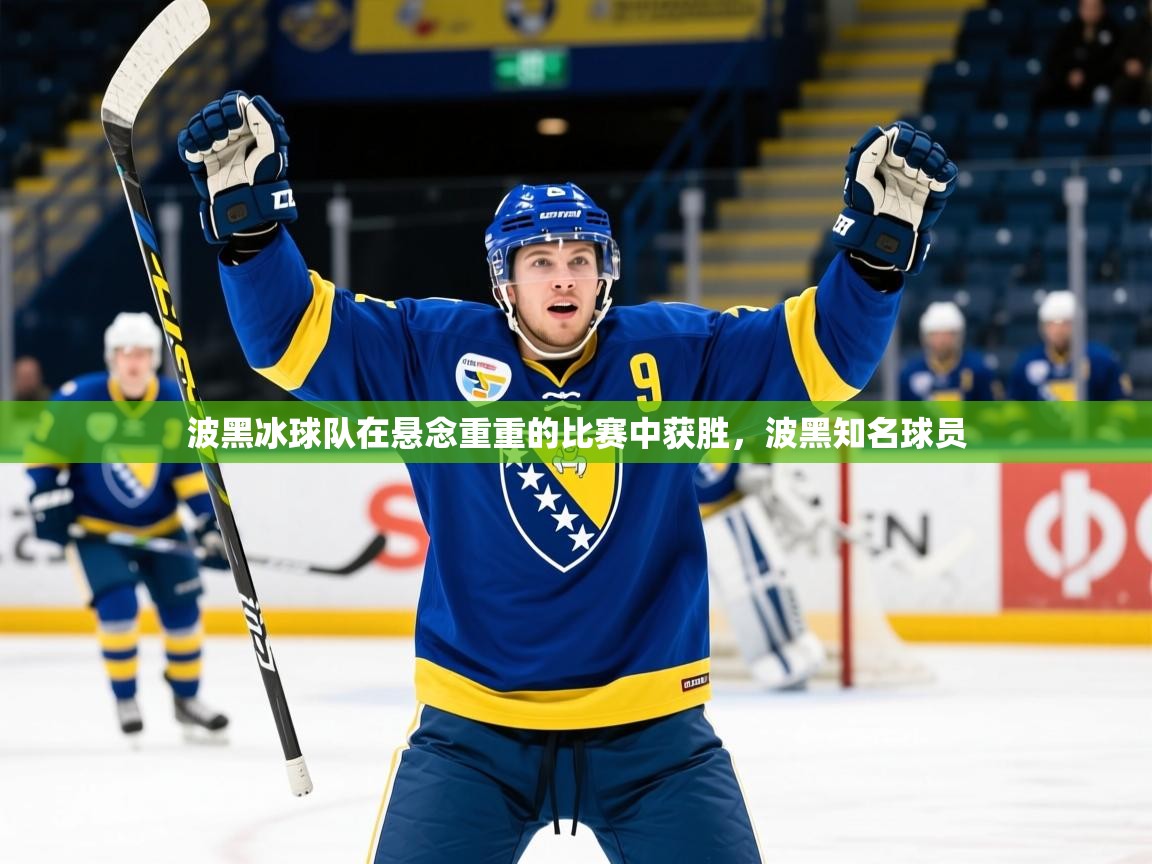 波黑冰球队在悬念重重的比赛中获胜,波黑知名球员 波黑冰球队在悬念重重的比赛中获胜,波黑知名球员