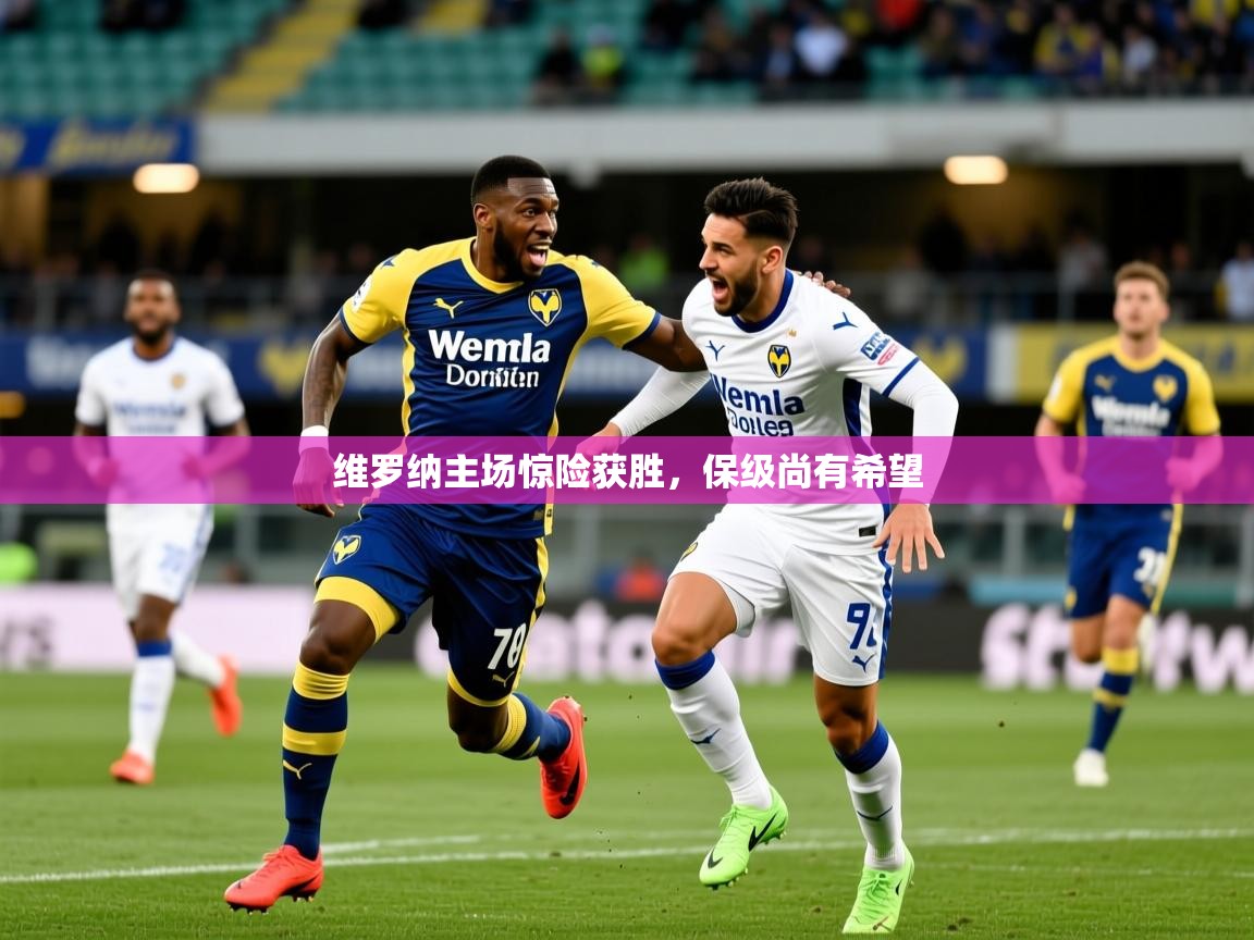 维罗纳主场惊险获胜,保级尚有希望 维罗纳主场惊险获胜,保级尚有希望