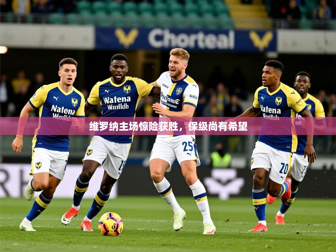 维罗纳主场惊险获胜,保级尚有希望 维罗纳主场惊险获胜,保级尚有希望
